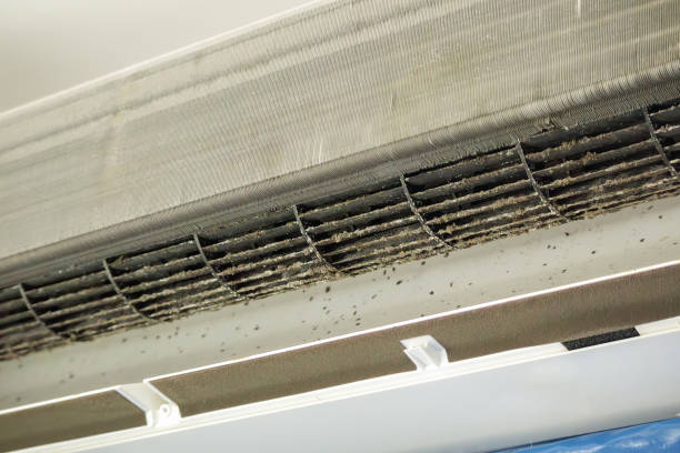 Best Air Duct Cleaning Near Me  in Brookhaven, GA